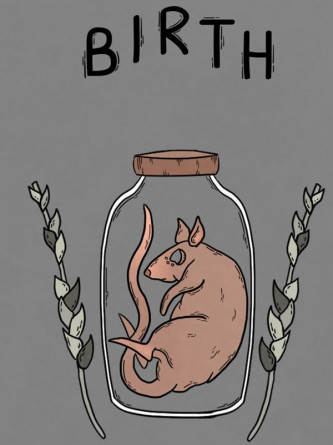 Скачать Birth